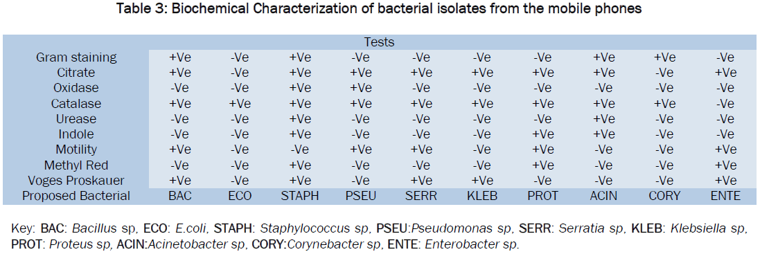 microbiology-biotechnology-Biochemical-Characterization-bacterial