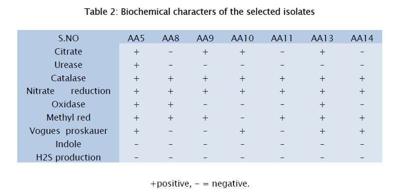 microbiology-biotechnology-Biochemical-characters