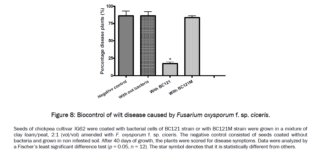 microbiology-biotechnology-Biocontrol-wilt-disease