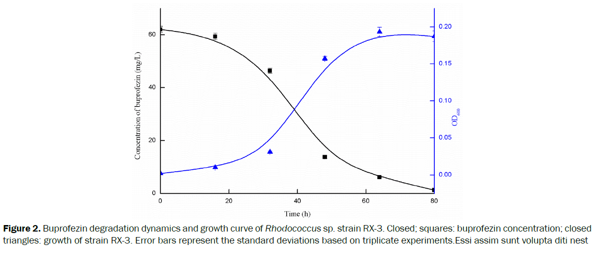 microbiology-biotechnology-Buprofezin-degradation-dynamics