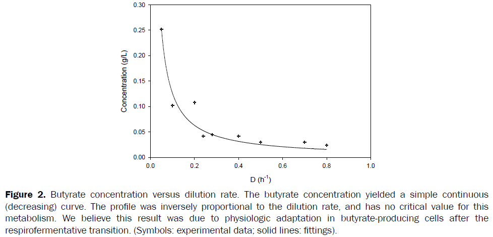 microbiology-biotechnology-Butyrate-concentration-dilution