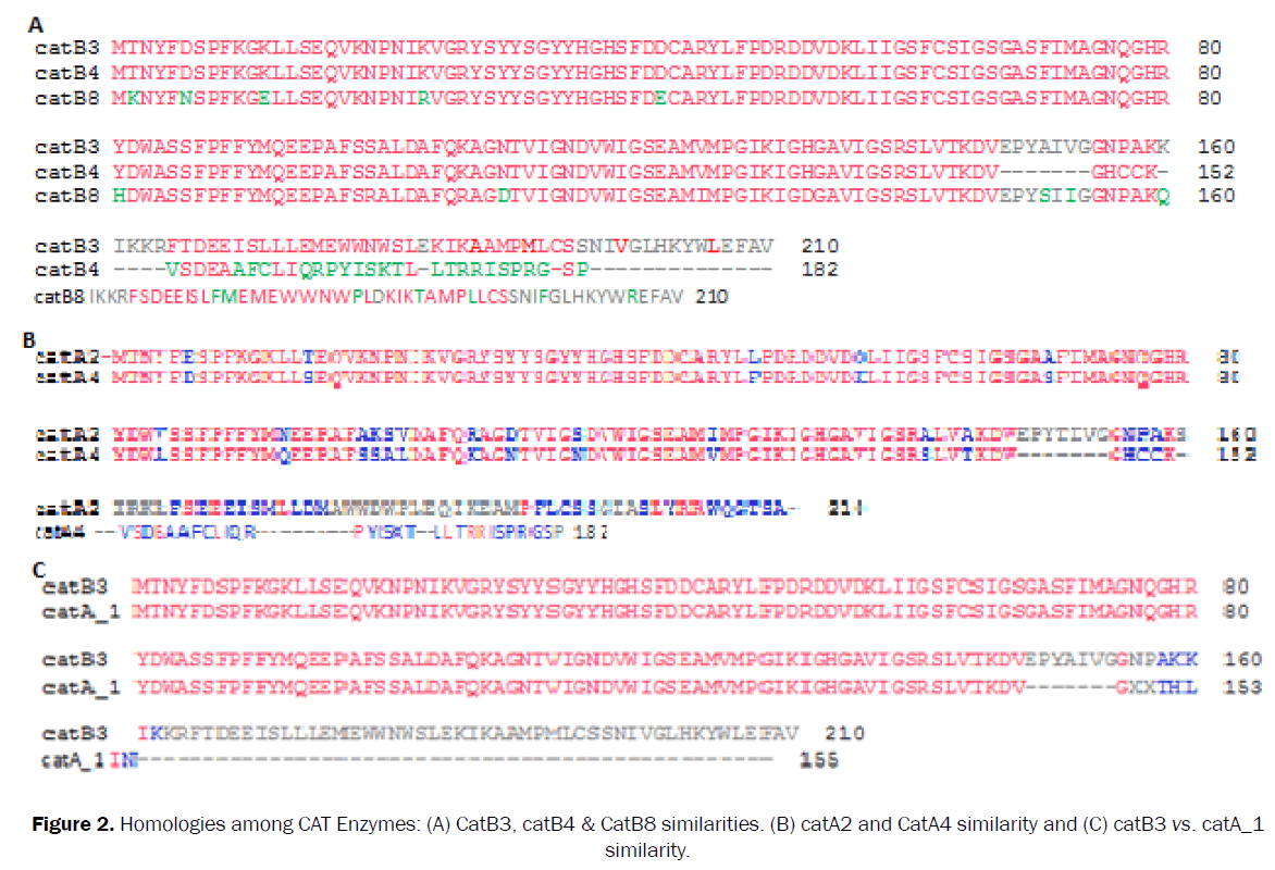 microbiology-biotechnology-CAT-Enzymes