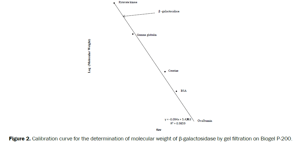 microbiology-biotechnology-Calibration-determination-molecular