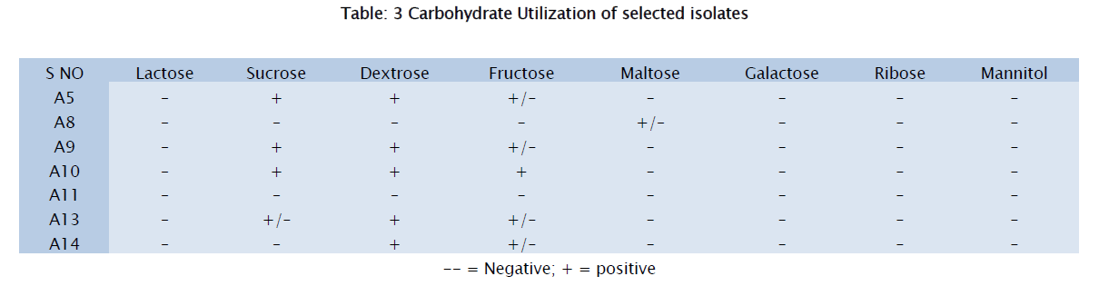 microbiology-biotechnology-Carbohydrate-Utilization
