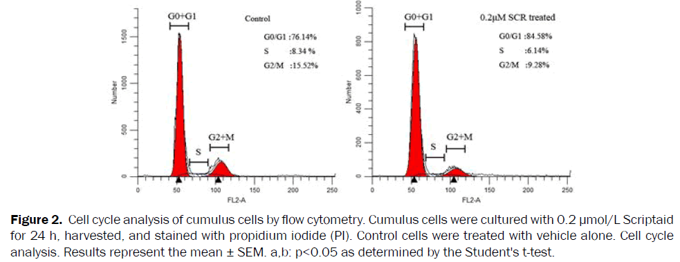 microbiology-biotechnology-Cell-cycle-analysis-cumulus