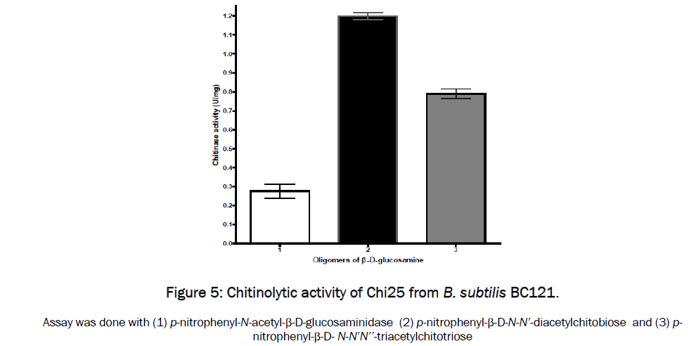 microbiology-biotechnology-Chitinolytic-activity