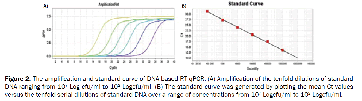 microbiology-biotechnology-DNA-based-RT-qPCR