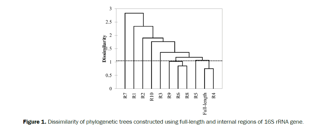 microbiology-biotechnology-Dissimilarity-phylogenetic