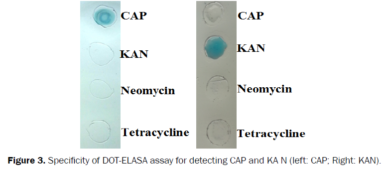 microbiology-biotechnology-Dot-ELASA-detecting-CAP