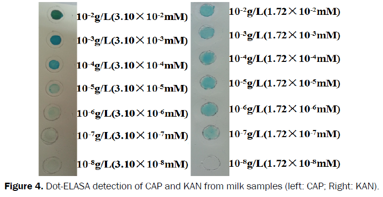 microbiology-biotechnology-Dot-ELASA-detection