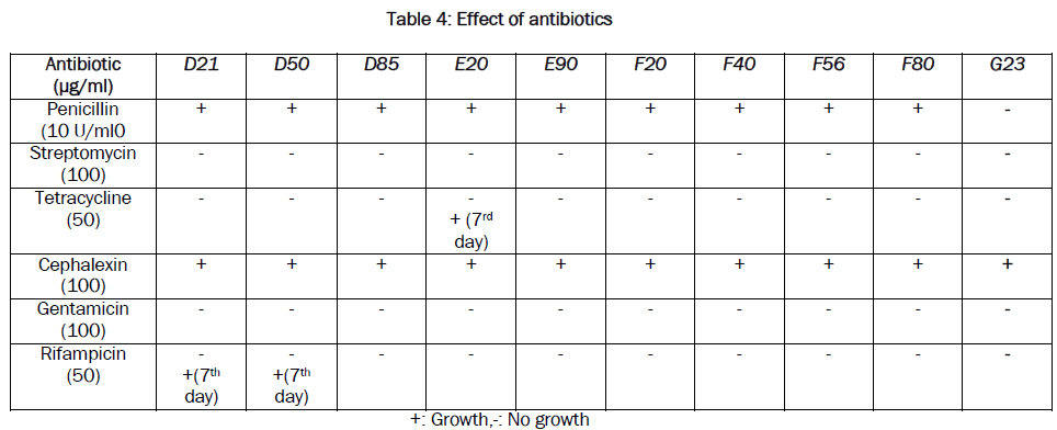 microbiology-biotechnology-Effect-antibiotics
