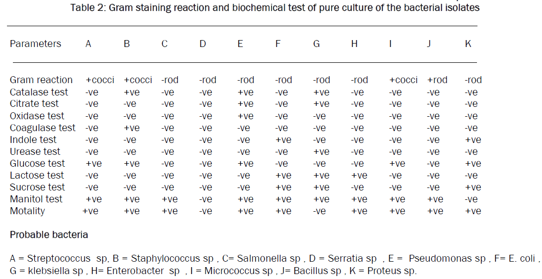 microbiology-biotechnology-Gram-staining-reaction