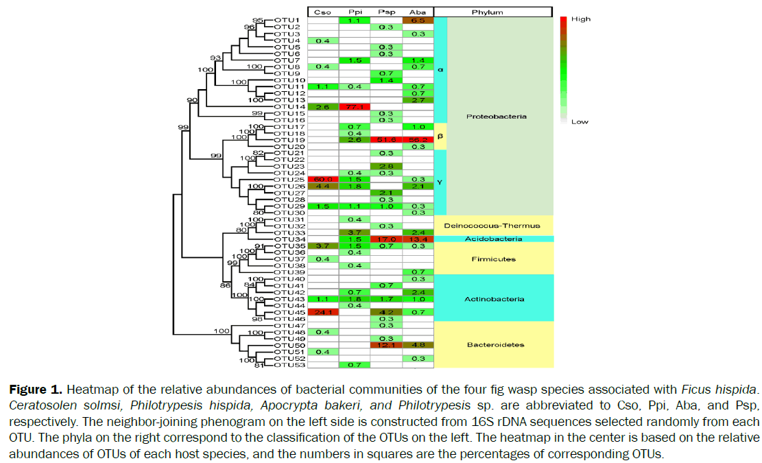 microbiology-biotechnology-Heatmap-abundances-bacterial