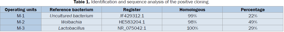 microbiology-biotechnology-Identification-sequence-cloning