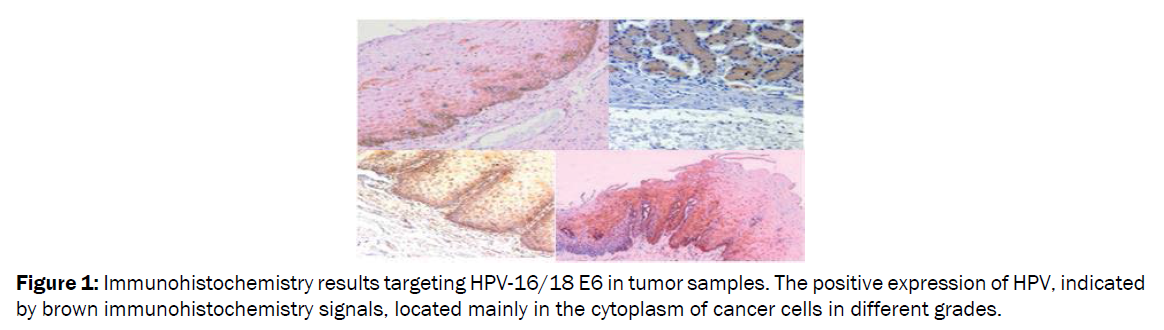 microbiology-biotechnology-Immunohistochemistry-results-targeting