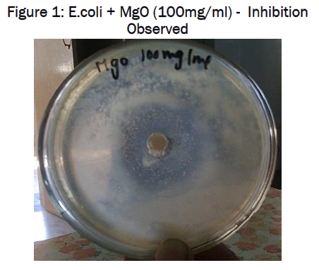 microbiology-biotechnology-Inhibition-Observed