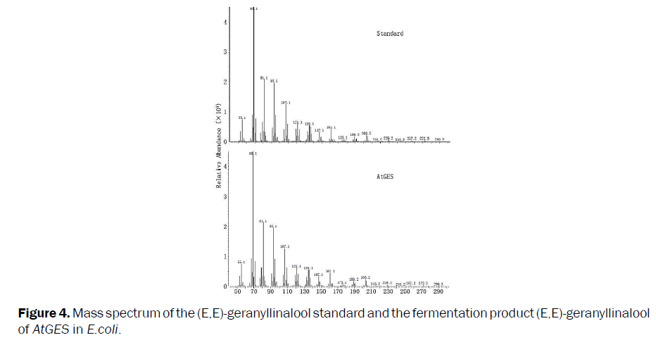 microbiology-biotechnology-Mass-spectrum-geranyllinalool