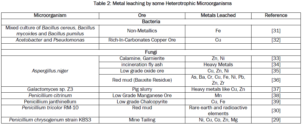 microbiology-biotechnology-Metal-leaching-Heterotrophic