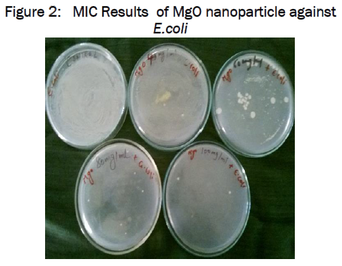 microbiology-biotechnology-MgO-nanoparticle-against