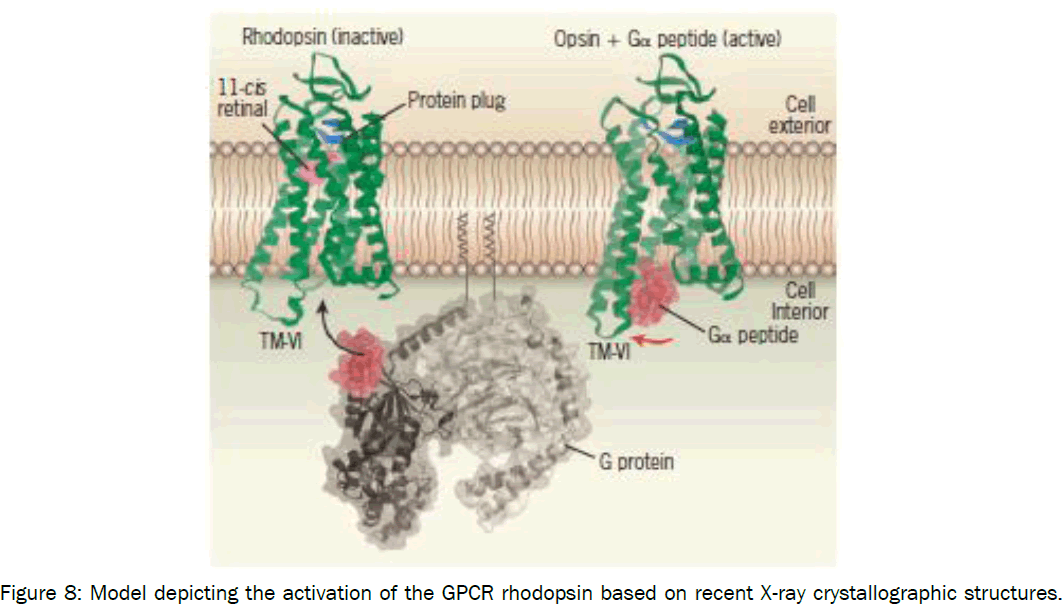 microbiology-biotechnology-Model-depicting