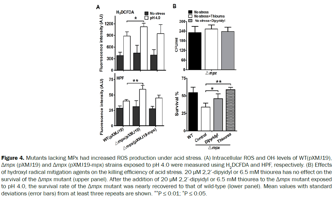 microbiology-biotechnology-Mutants-lacking-increased