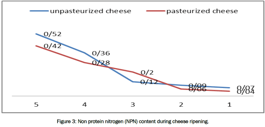 microbiology-biotechnology-Non-protein-nitrogen-cheese
