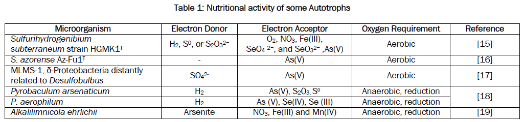 microbiology-biotechnology-Nutritional-activity-Autotrophs