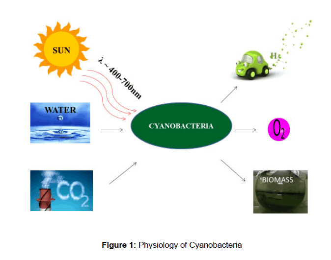 microbiology-biotechnology-Physiology