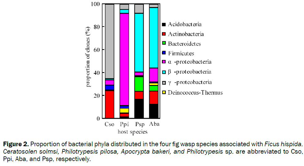 microbiology-biotechnology-Proportion-bacterial-phyla