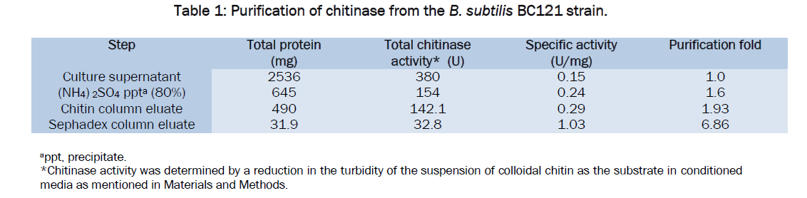 microbiology-biotechnology-Purification-chitinase-strain