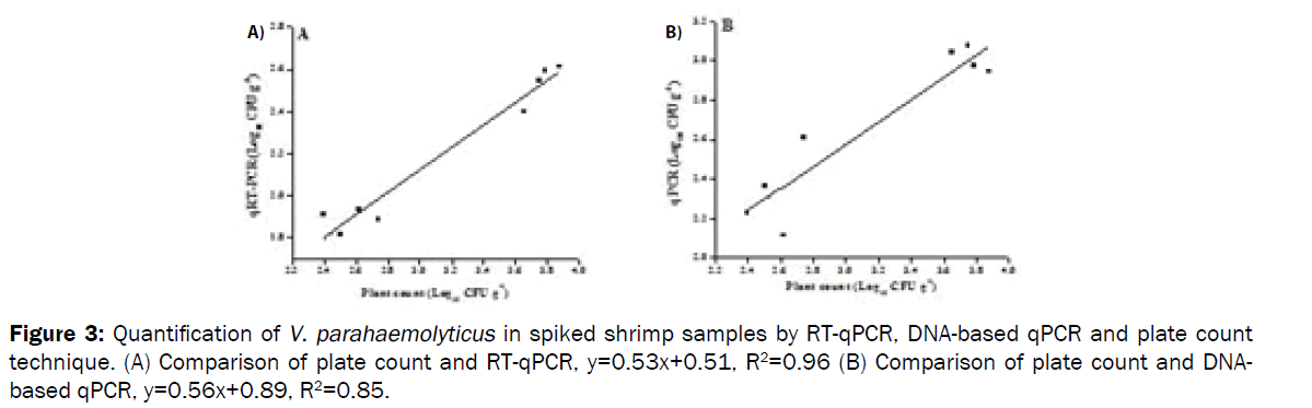 microbiology-biotechnology-Quantification-V-parahaemolyticus