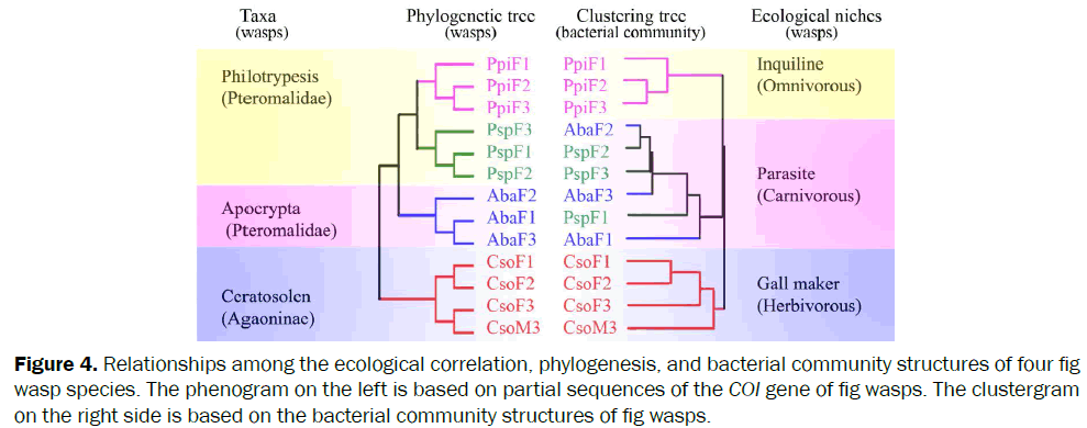 microbiology-biotechnology-Relationships-ecological-correlation