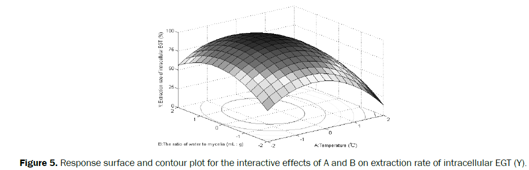 microbiology-biotechnology-Response-surface-contour-plot