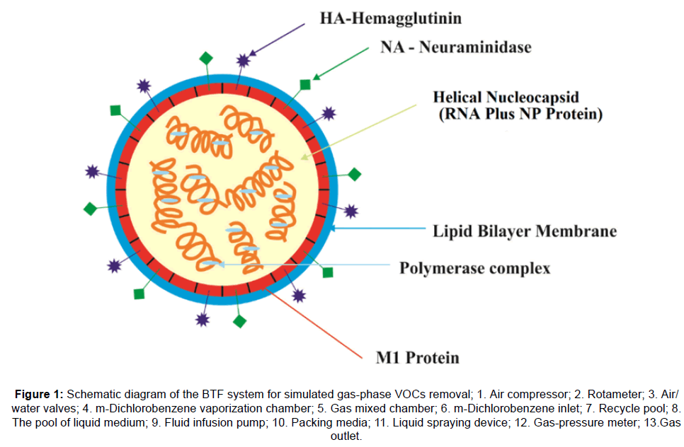microbiology-biotechnology-Schematic-diagram