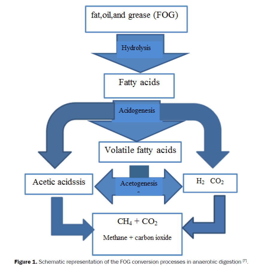 microbiology-biotechnology-Schematic-representation