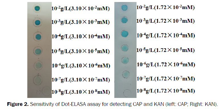 microbiology-biotechnology-Sensitivity-Dot-ELASA