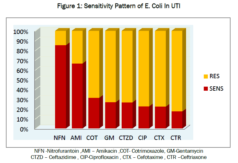 microbiology-biotechnology-Sensitivity-Pattern-E-Coli