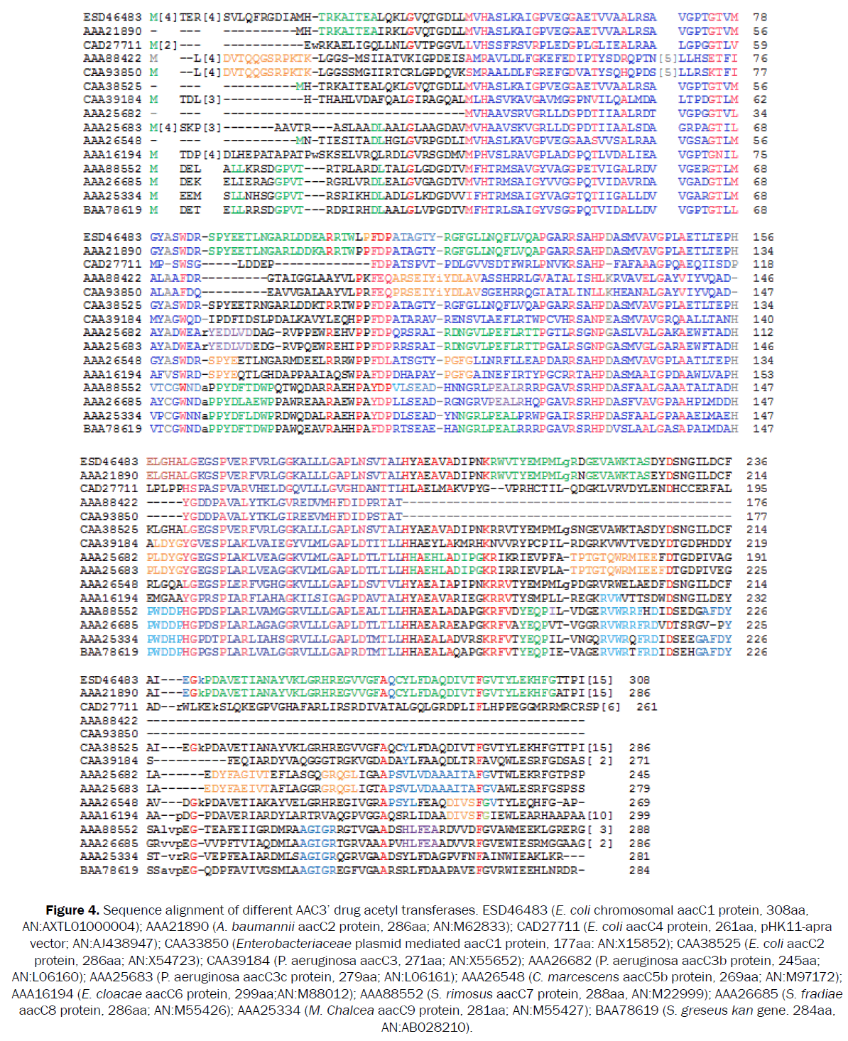 microbiology-biotechnology-Sequence-alignment