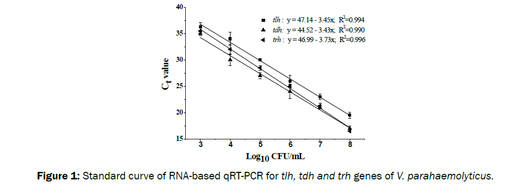 microbiology-biotechnology-Standard-curve-RNA-based