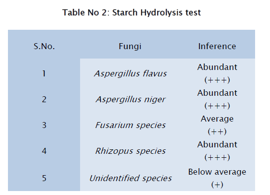 microbiology-biotechnology-Starch-Hydrolysis-test