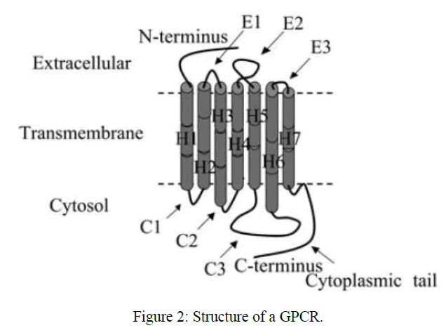 microbiology-biotechnology-Structure