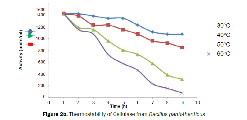 microbiology-biotechnology-Thermostability-Cellulase