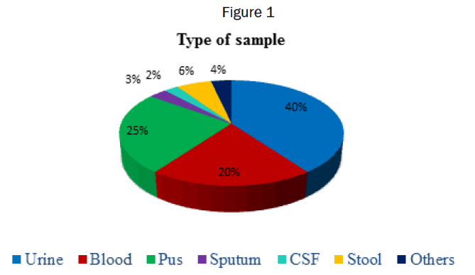 microbiology-biotechnology-Type-Sample