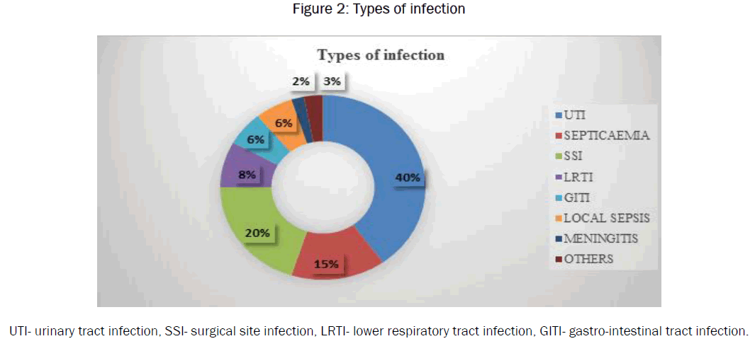 microbiology-biotechnology-Types-infection