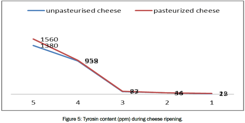 microbiology-biotechnology-Tyrosin-content-cheese