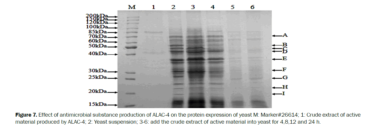 microbiology-biotechnology-active-material