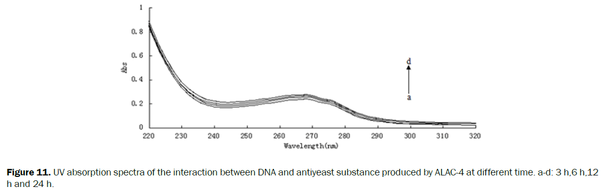 microbiology-biotechnology-antiyeast-substance