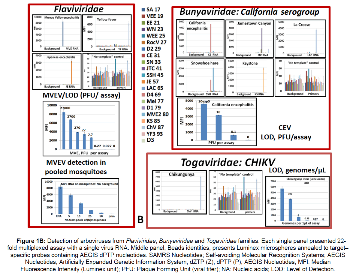 microbiology-biotechnology-arboviruses-flaviviridae