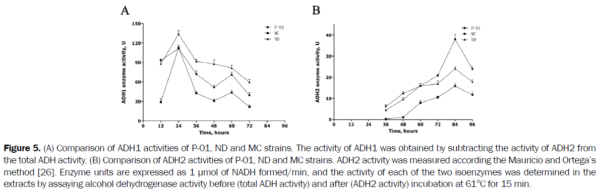 microbiology-biotechnology-assaying-alcohol-dehydrogenase