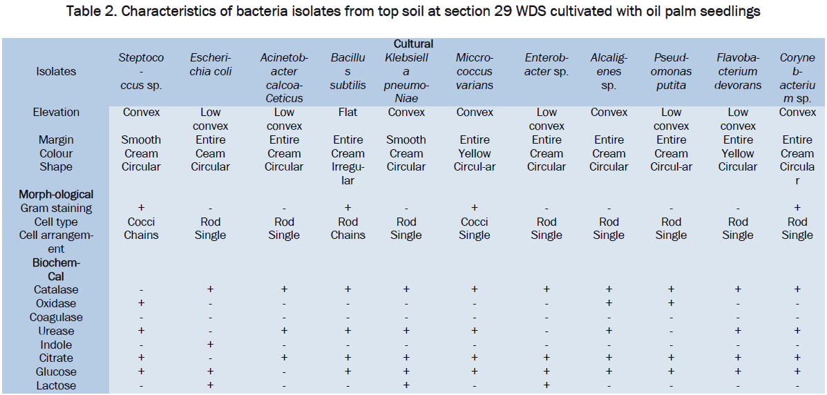 microbiology-biotechnology-bacteria-isolates-cultivated